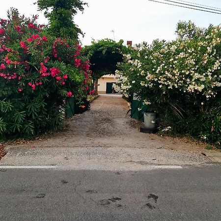 Estudio Tanner Pedrogao Grande Εξωτερικό φωτογραφία